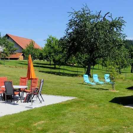 Amazing In * Tettnang