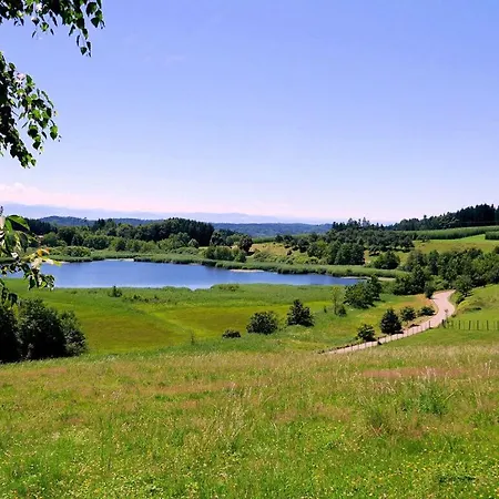 Amazing In * Tettnang